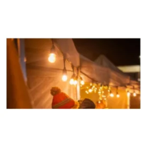 Festoon Lighting